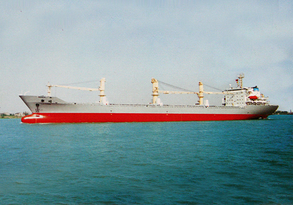 20,000噸多用途船（1999年-2000...